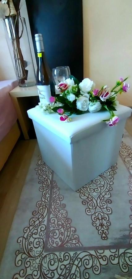 Rose & Water Guest House Pavel Banya Exterior foto